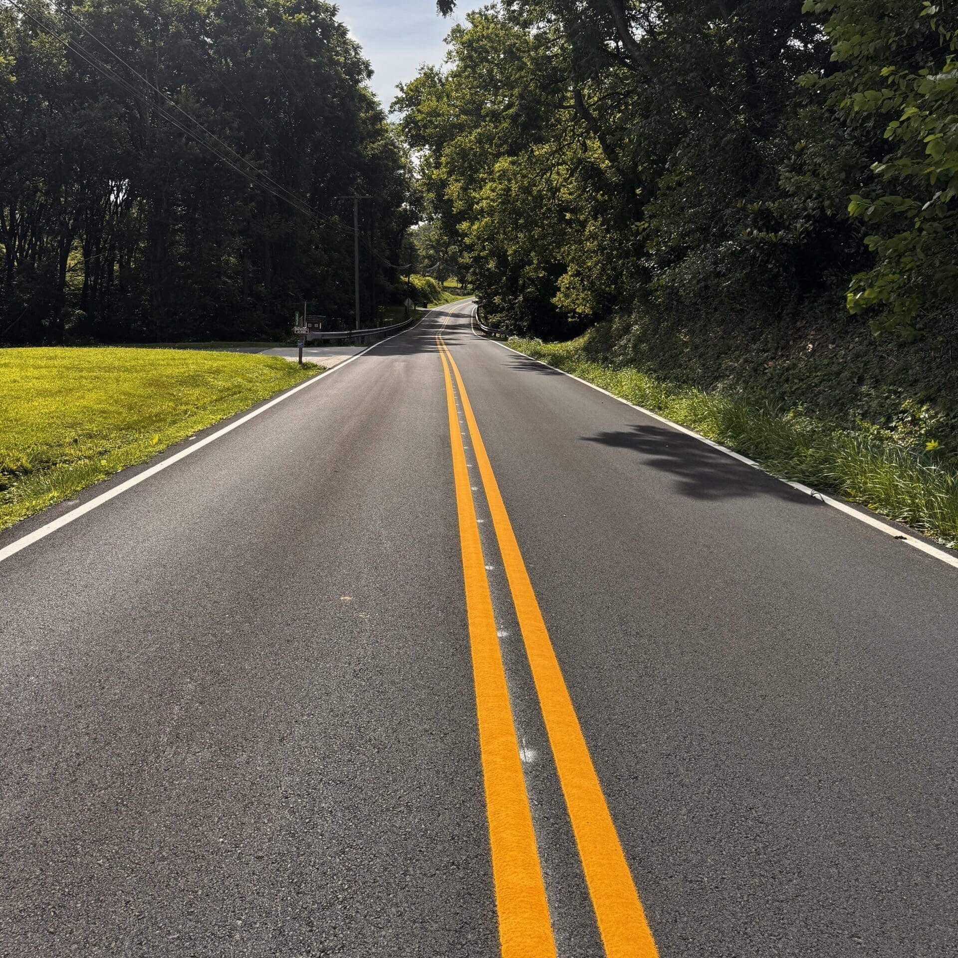 Cl490a53 Photo For Website