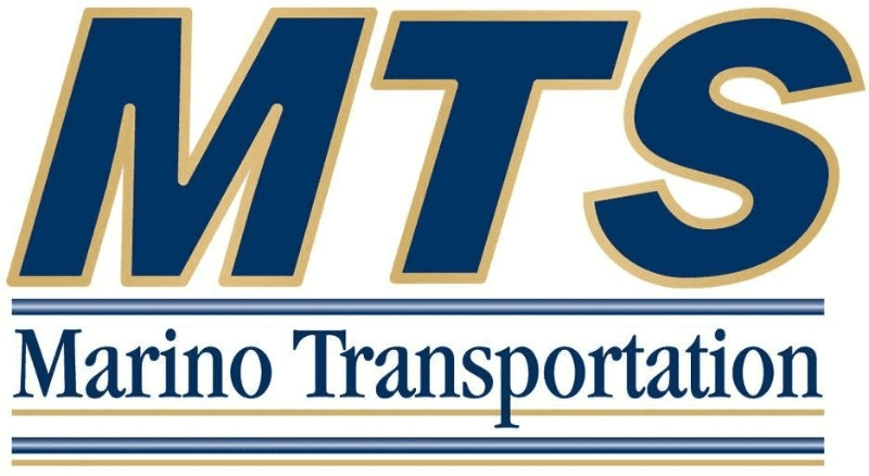 Mts Logo
